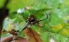 318045 – Photo : Nathan Ruchalski – France (59)